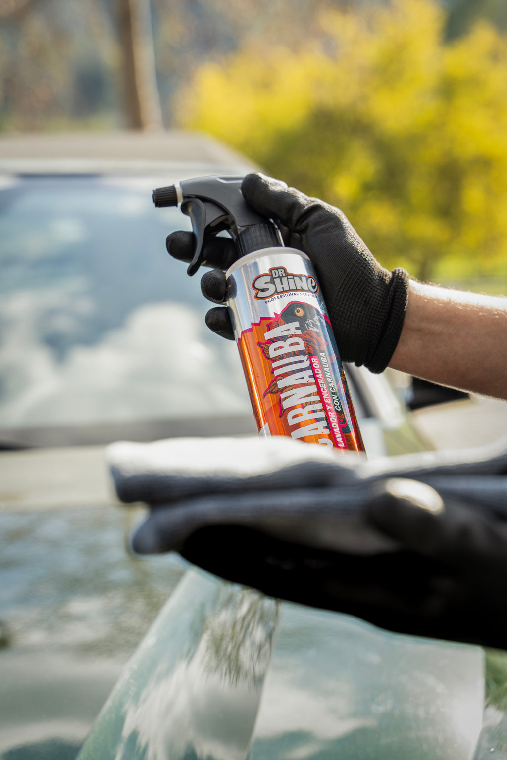 Carnauba Wax