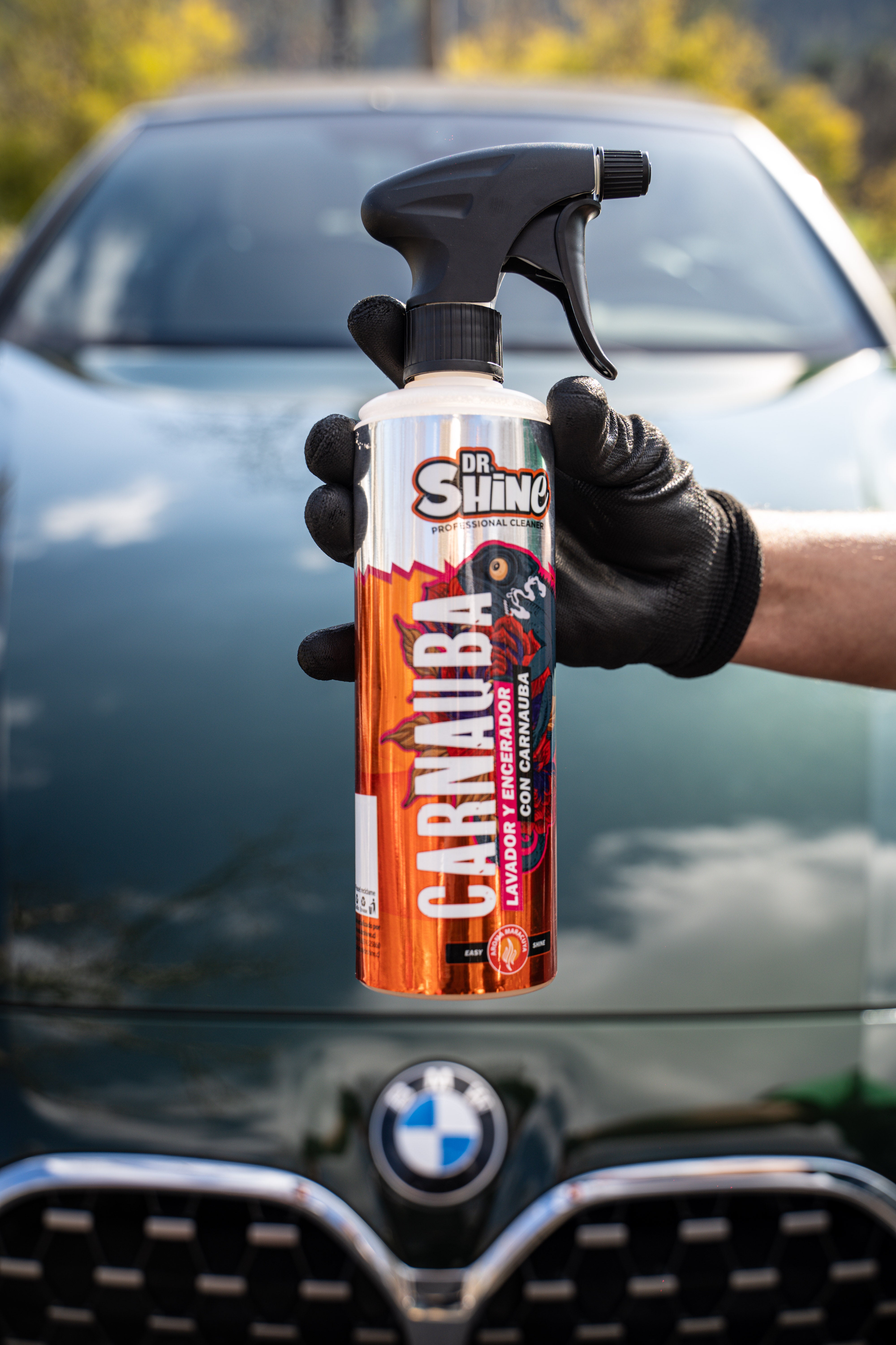 Carnauba Wax